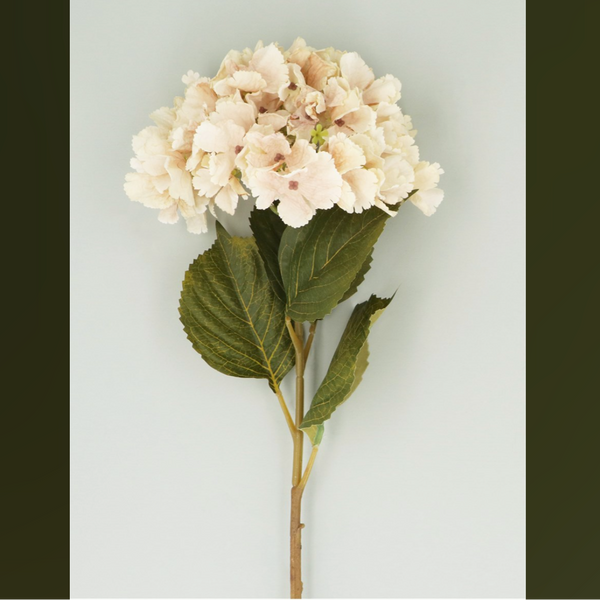 Gisela Graham Antique Cream Hydrangea Stem 84cm
