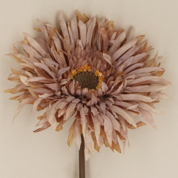 Gisela Graham Antique Mauve Gerbera Stem (Close up)