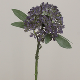 Purple flower arrangement with green leaves on a light gray background