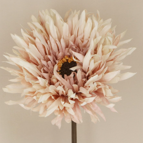Gisela Graham Blush White Gerbera Stem (Close up)