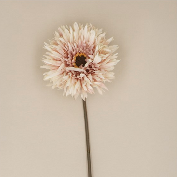 Gisela Graham Blush White Gerbera Stem