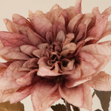 Gisela Graham Dusty Mauve Dahlia - Stem