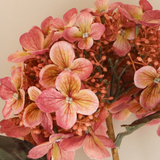 Close up of pink hydrangea stem