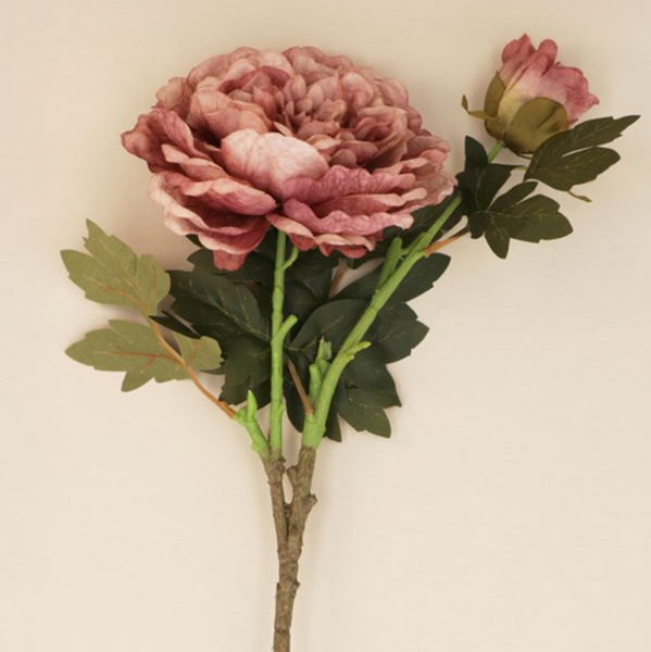 Gisela Graham Peony Spray With Bud Stem - Dusty Mauve
