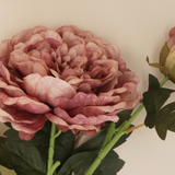 Gisela Graham Peony Spray With Bud Stem Dusty Mauve