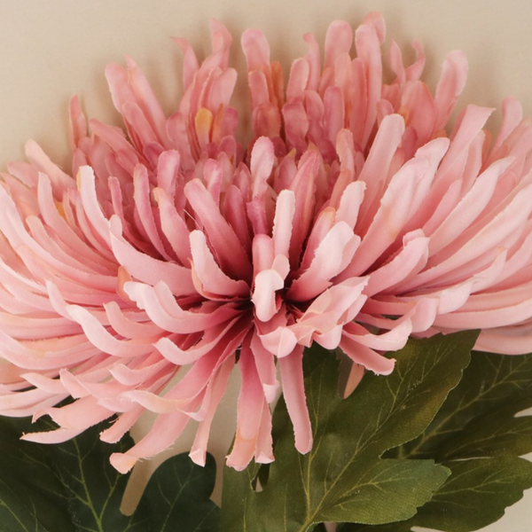 Close-up of a pink flower with green leaves on a beige background