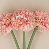 Gisela Graham Pink Mini Ball Chrysanthemum, Bunch of 3 (Close up)
