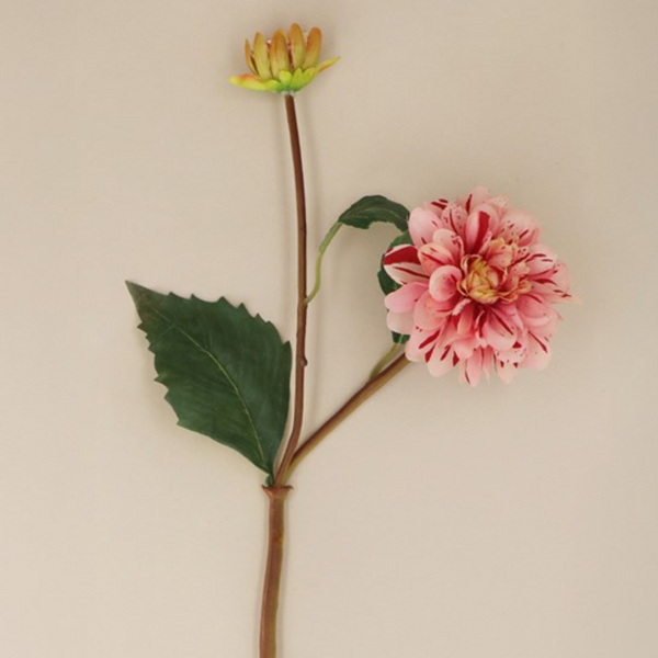 Gisela Graham Pink Striped Dahlia Spray