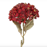 Gisela Graham Stem, 62cm - Burgundy/Gold Glitter Hydrangea