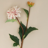 Gisela Graham White & Pink Striped Dahlia Spray
