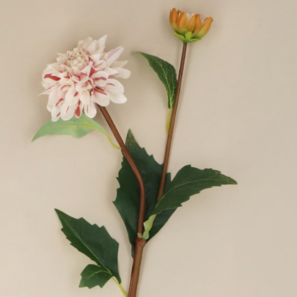 Gisela Graham White & Pink Striped Dahlia Spray
