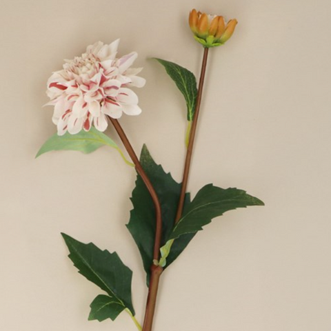 files/Gisela_Graham_White_Pink_Striped_Dahlia_Spray.png