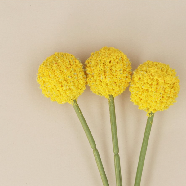 Gisela Graham Yellow Billy Bobs, Bunch of 3 (Close up)