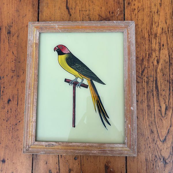 Glass Framed Blue and Yellow Bird