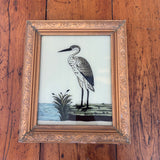 Glass Framed Print White Stork 
