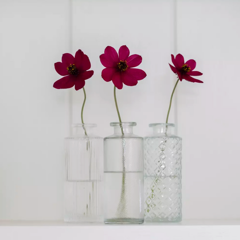 Grand Illusions Bottle vase