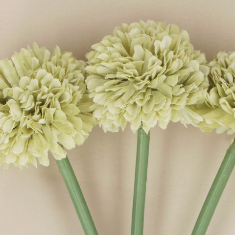 files/Green_Mini_Ball_Chrysanthemums_bunch_of_3.png