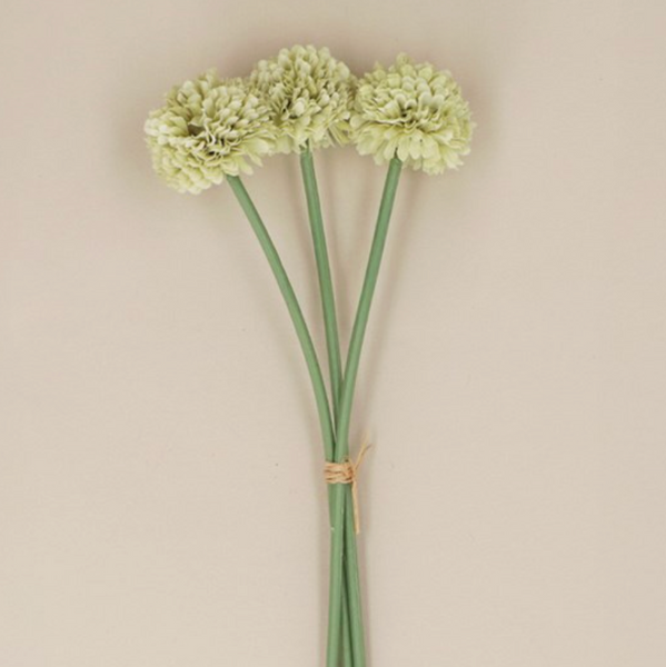 Green Mini Ball Chrysanthemums