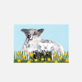 Spring Lamb Card