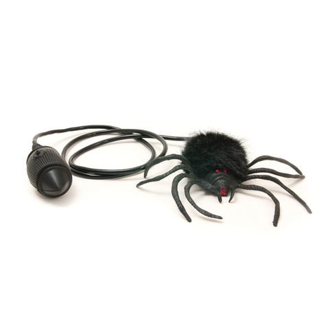 files/Hairy_Scary_Jumping_Spider.png