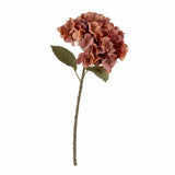 Hydrangea - Dusky Pink 1