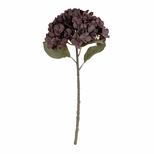 Hydrangea - Dusky Purple 1