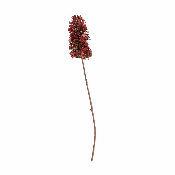 Hydrangea Kyushu Stem - Burgundy 1