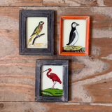 Vintage Glass Framed Paintings Bird - Extra Small