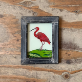 Vintage Glass Framed Paintings Bird - Extra Small