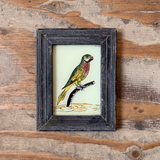 Vintage Glass Framed Paintings Bird - Extra Small