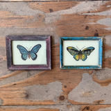 Vintage Glass Framed Paintings Butterfly - Extra Small