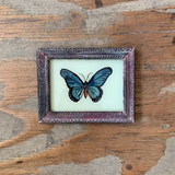 Vintage Glass Framed Paintings Butterfly - Extra Small