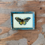 Vintage Glass Framed Paintings Butterfly - Extra Small