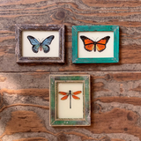 Vintage Glass Framed Painting Insects - Extra Small