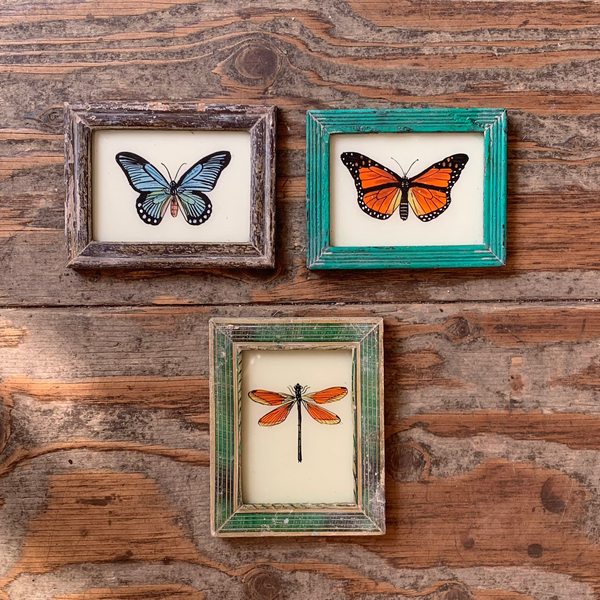 Vintage Glass Framed Painting Insects - Extra Small