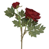 Antique Burgundy Peony with Bud Stem
