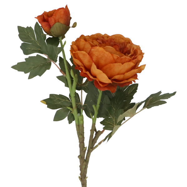 Antique Orange Peony with Bud Stem
