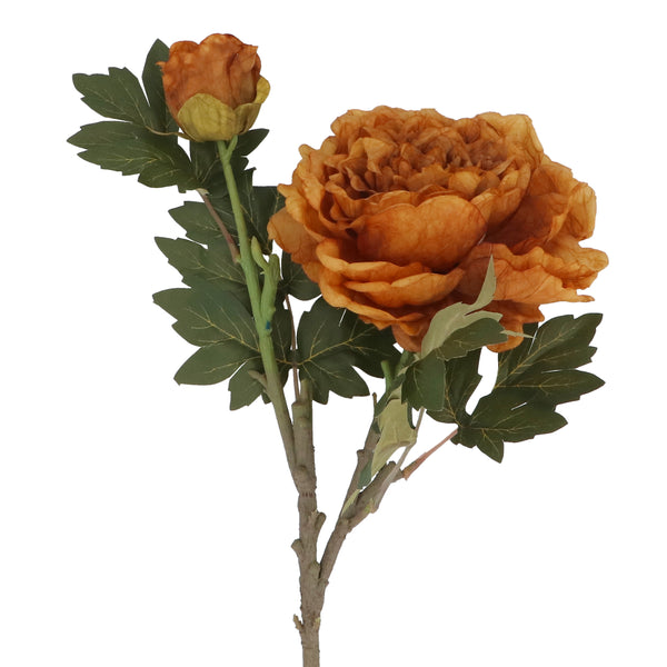 Antique Yellow Peony with Bud Stem