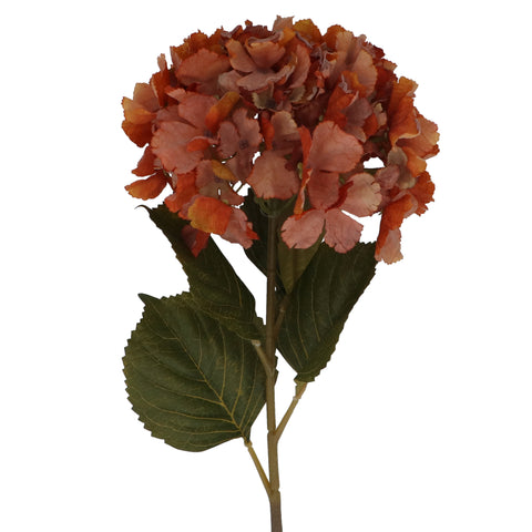 Antique Orange Hydrangea Stem