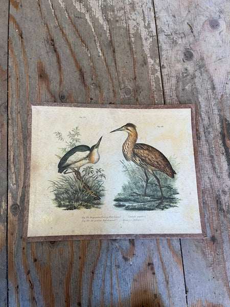 Vintage Bird Lithogram