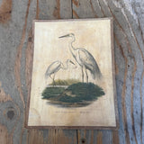 Vintage Bird Lithogram