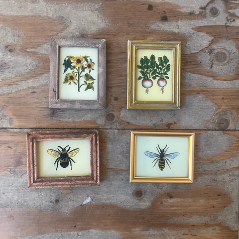 Vintage Glass Framed Paintings Nature - Mini