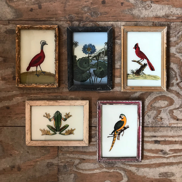 Vintage Glass Framed Paintings Various - Small