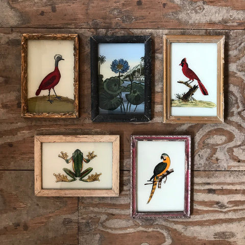 Vintage Glass Framed Paintings Various - Small