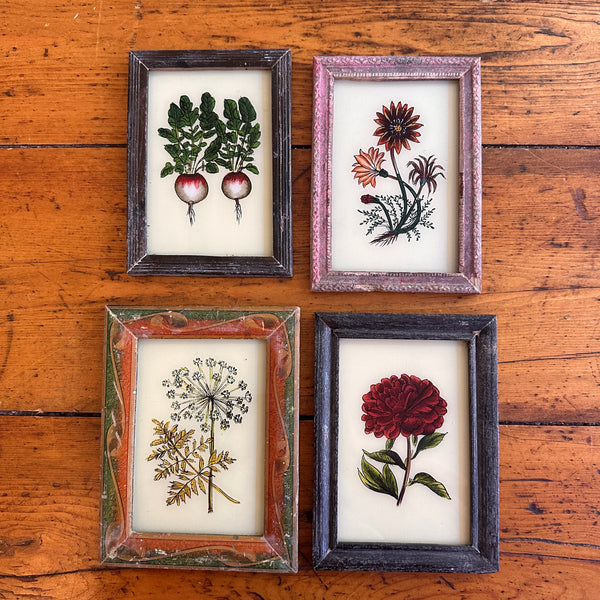 Vintage Glass Framed Painting Plants - Small