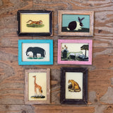 Vintage Glass Framed Paintings Animals - Small