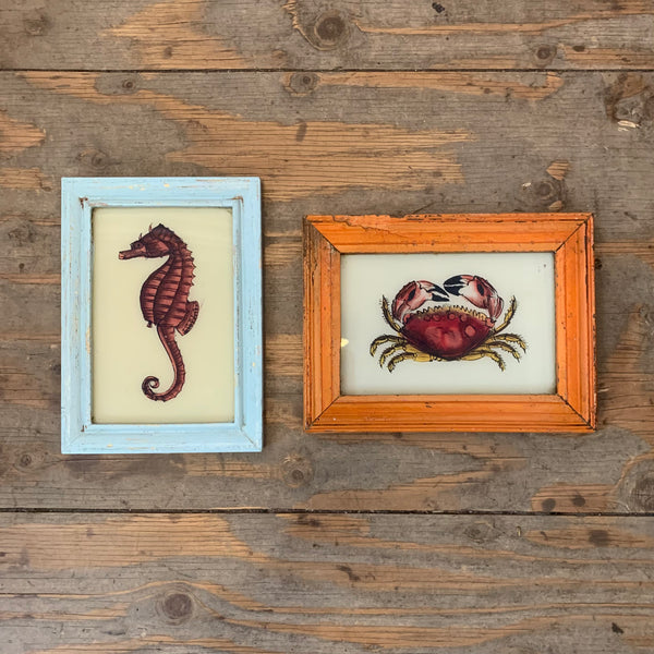Vintage Glass Framed Paintings Sealife - Small