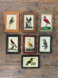 Vintage Glass Framed Paintings Birds - Small
