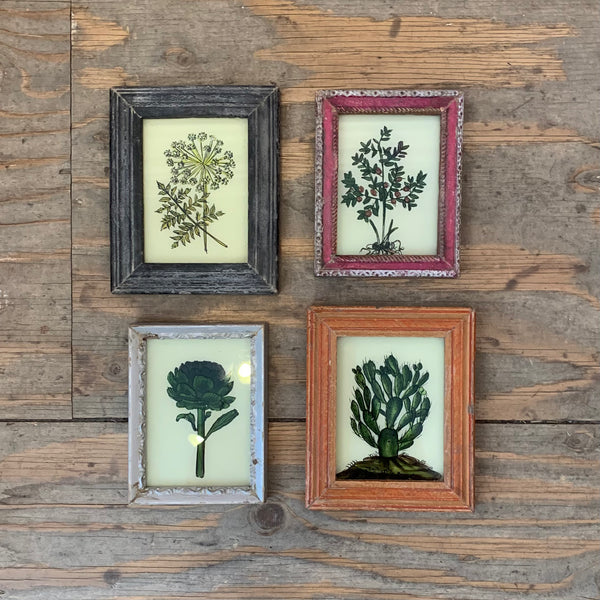 Vintage Glass Framed Painting Plants - Mini