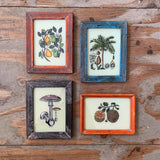 Vintage Glass Framed Paintings Fruit - Extra Small